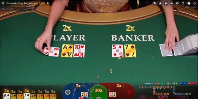Một số phần mềm baccarat nổi bật ở nhà cái 33win68